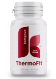 ThermoFit 
