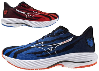 MIZUNO Wave Rider 28